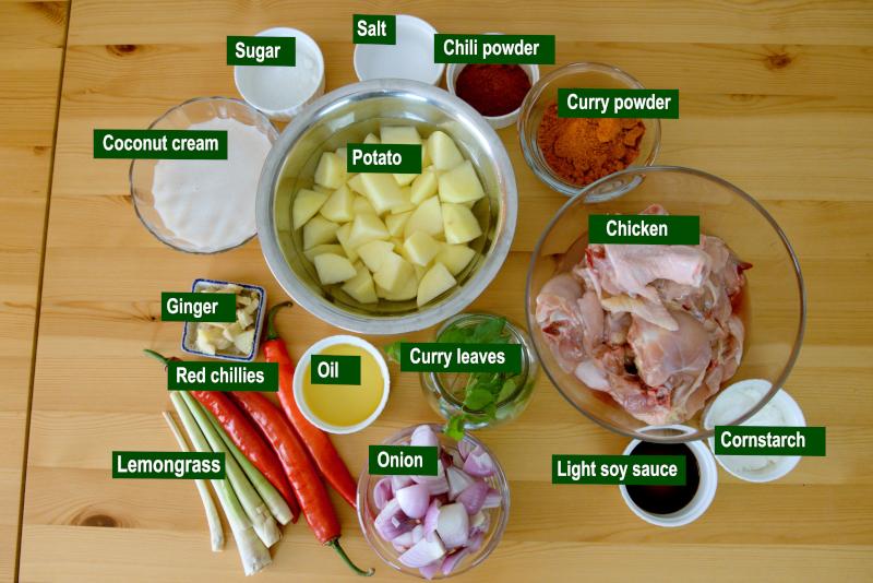 Malaysian curry chicken ingredients