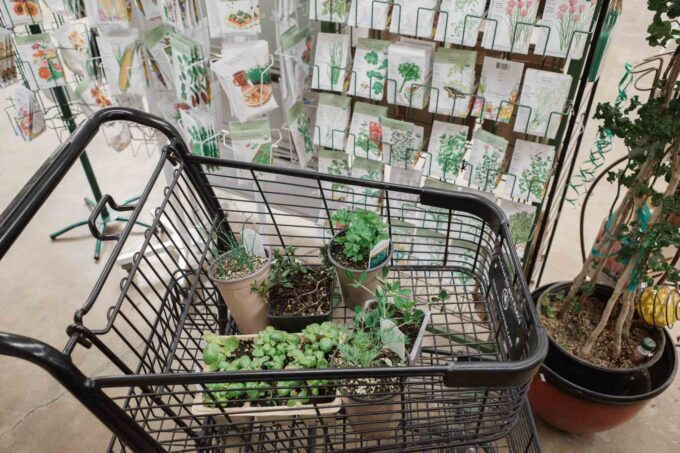 Shopping cart with seedlings