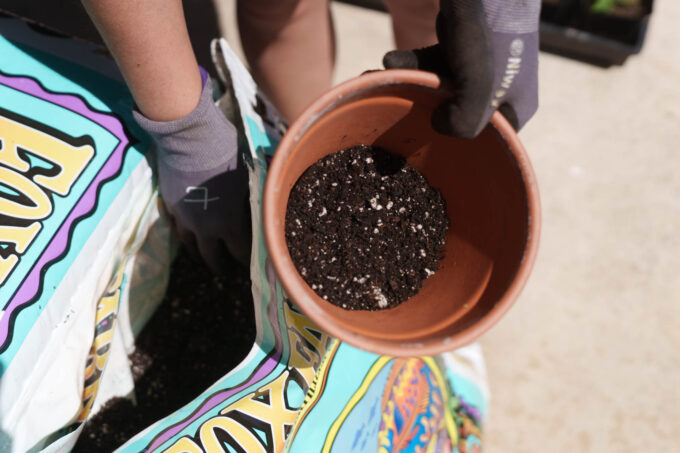 Filling pot with soil