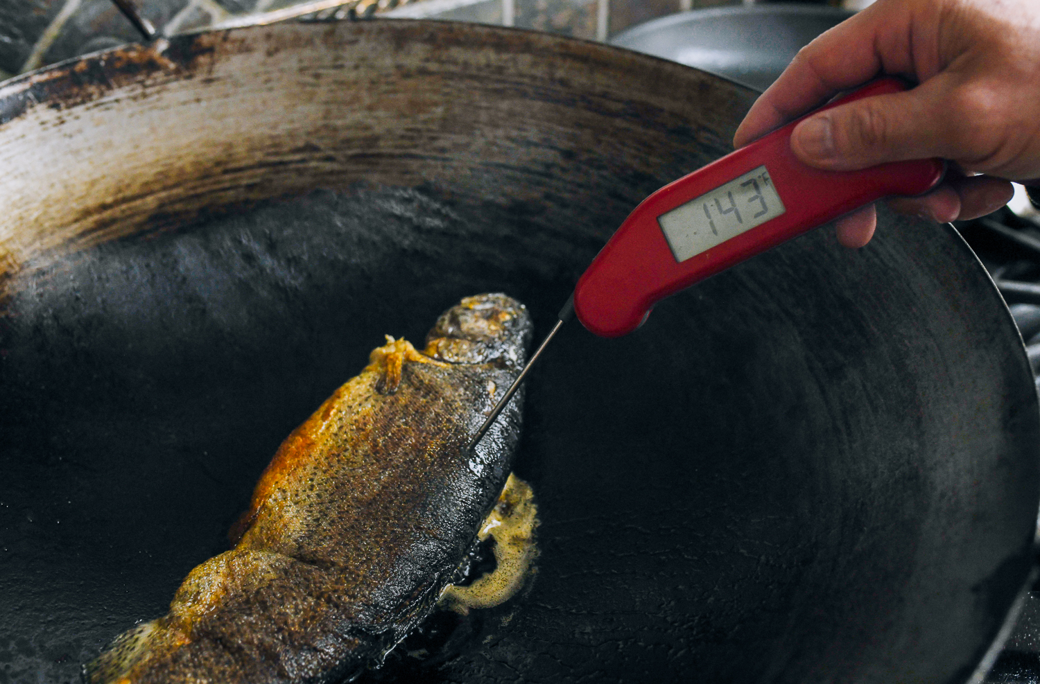 Taking cooked trout internal temperature with instant read thermometer