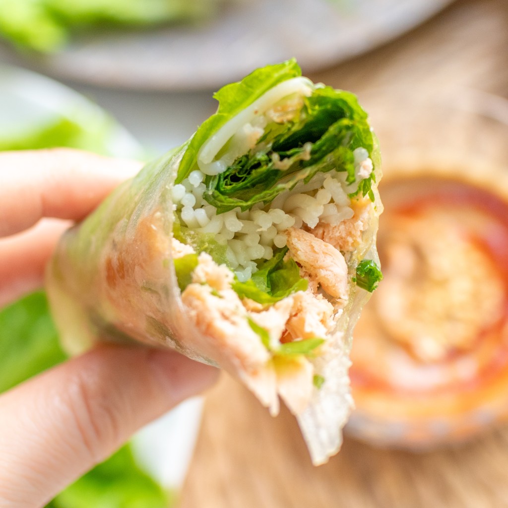 Vietnamese Salmon Spring Rolls (Gỏi Cuốn Cá Hồi)